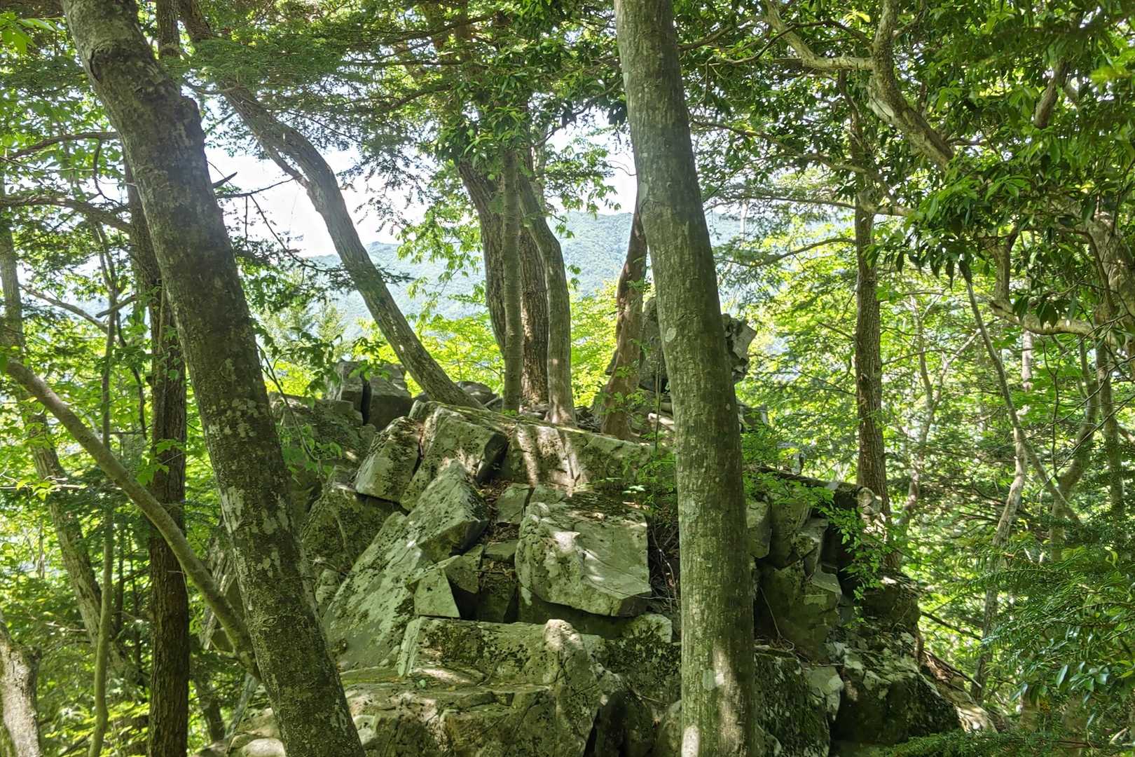 小五郎山登り口-小五郎山 往復コースの写真