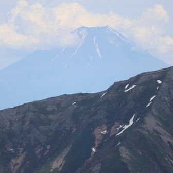 よく見たら北岳の後ろに富士山が🗻