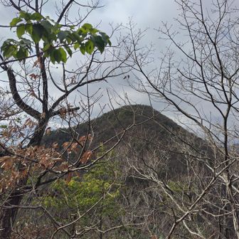 ヒーヒーなので息を整え、振り返ると先程の御坊山…白旗です…🏳️🙇