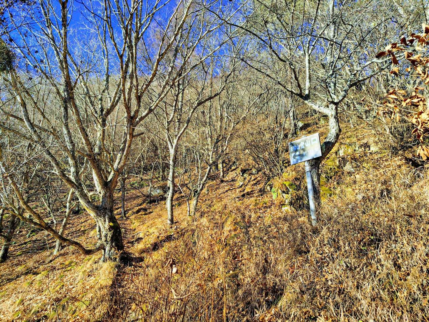 馬越峠登山口からスタート。
しばらく急登！