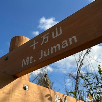 今年も何とか本渡ブルー☀️