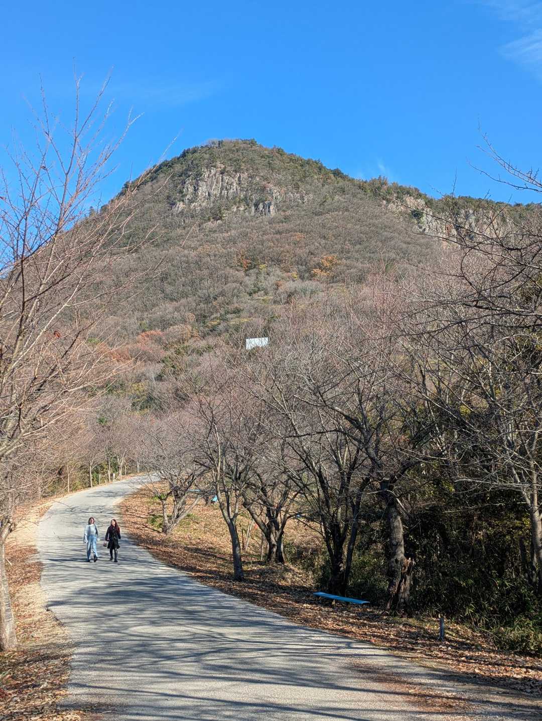 稲積山