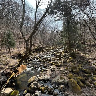 鳴子川さんまた来るねー😊