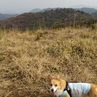 次は『御祝山』に向かって
下っていきます🐾