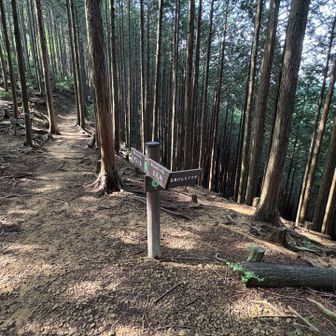 名栗げんきプラザ方向へ下ります
