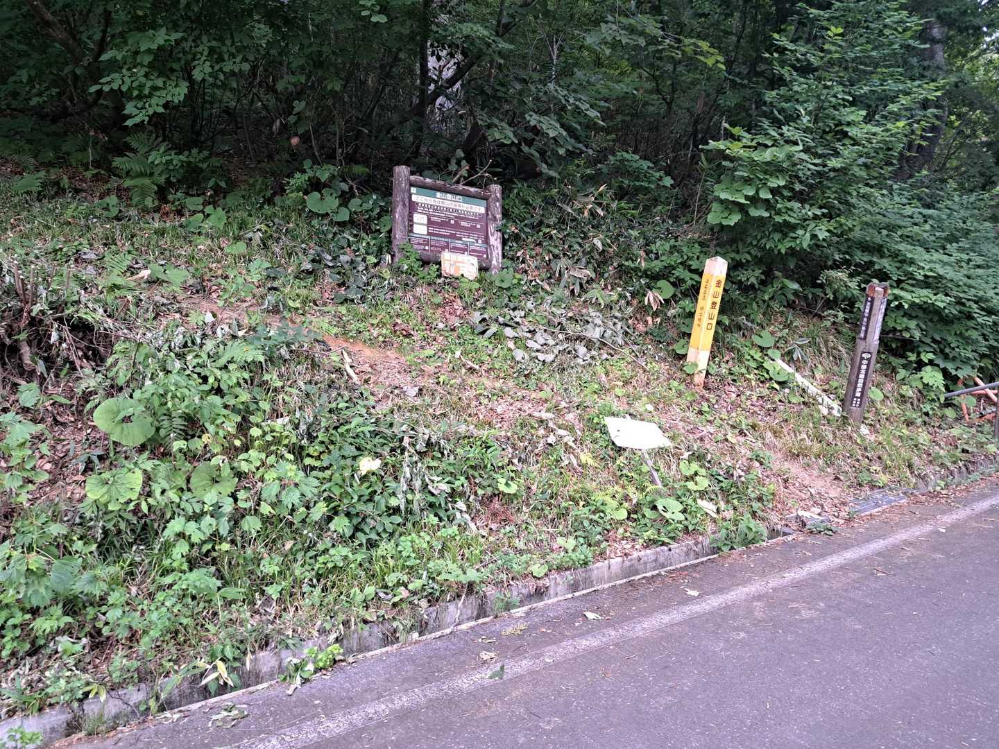 登山口。
意外とここまでの林道、通行止めの事が多いです。