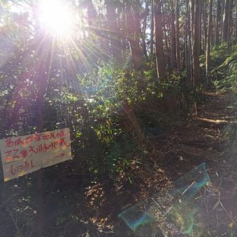 帰路、看板発見