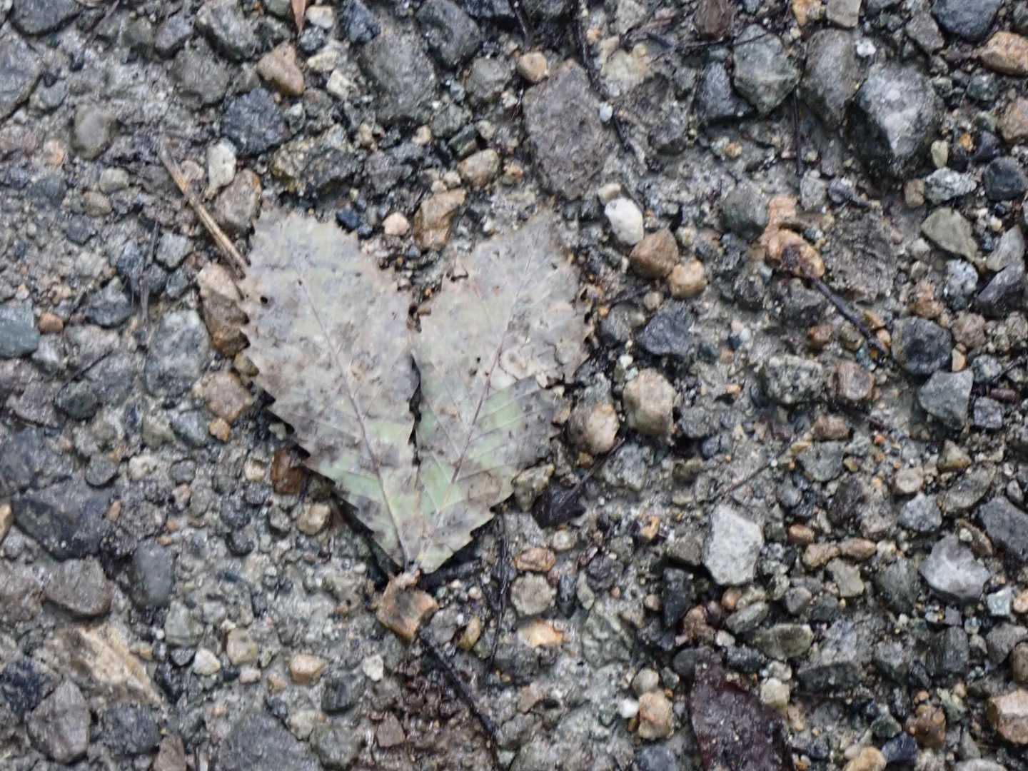 ハート💕