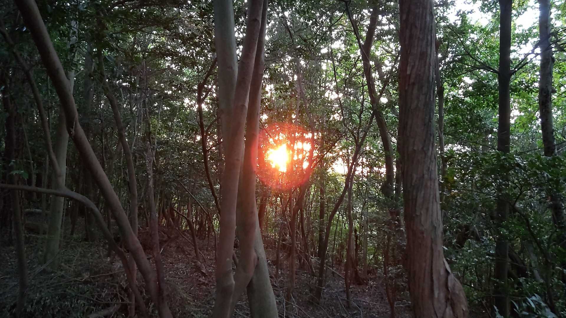 夕日に間に合いますように