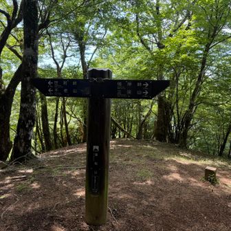 湯船山に到着