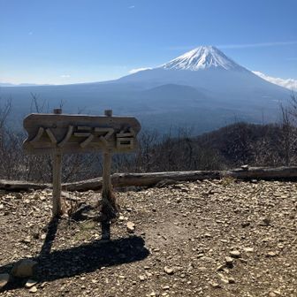 パノラマ台✨
写真より富士山が大きく見えます👀
河口湖や三つ峠山も見えますよ🤗

