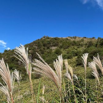 十月の ふくち山