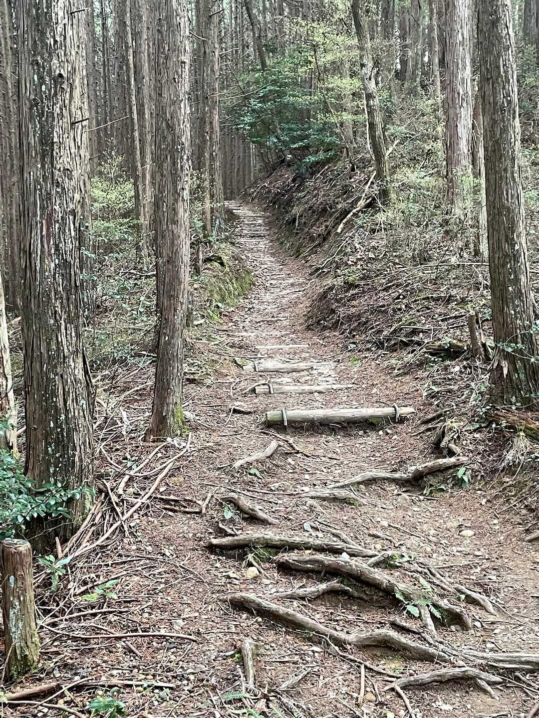 もう終わりかと思ってたのにまだ階段続くんか😱