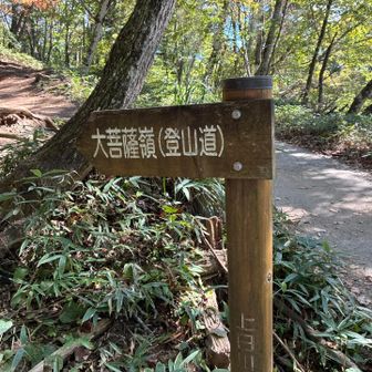 下りて来ました