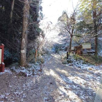 いろはコース入り口
雪は枝葉に積もるのみで登山道は殆ど雪無し
山頂までチェンスパ使わなかった✨