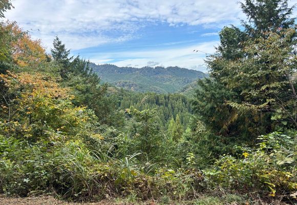 草戸山（東京・神奈川・364m）| 登山ルート・天気 | YAMAP / ヤマップ