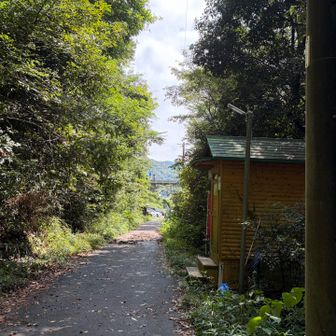 やっと戻って来られた安堵感
トイレ、使えます❗️
きれいに清掃をしてくださり、ありがとうございます😊

雨が続いていて気温が低かったので、久しぶりに30度近くまで上がりキツかったです
次回の加重トレーニングは、もっと気温が低くなってからにしよっと😆