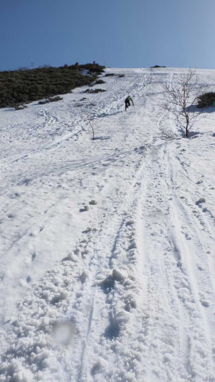 仙丈ヶ岳、残雪期テン泊 の写真 31