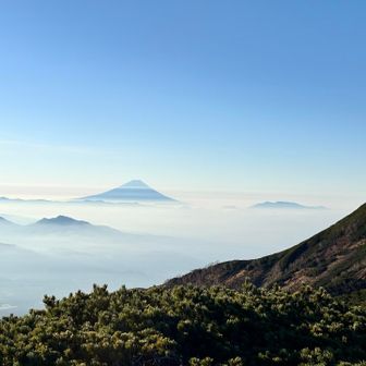 模様がきれい