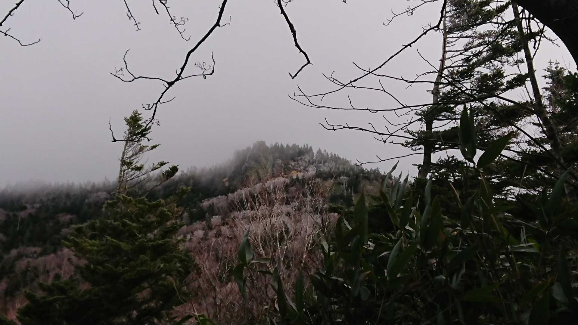 むむむ！赤石山山頂は白くないか⁈