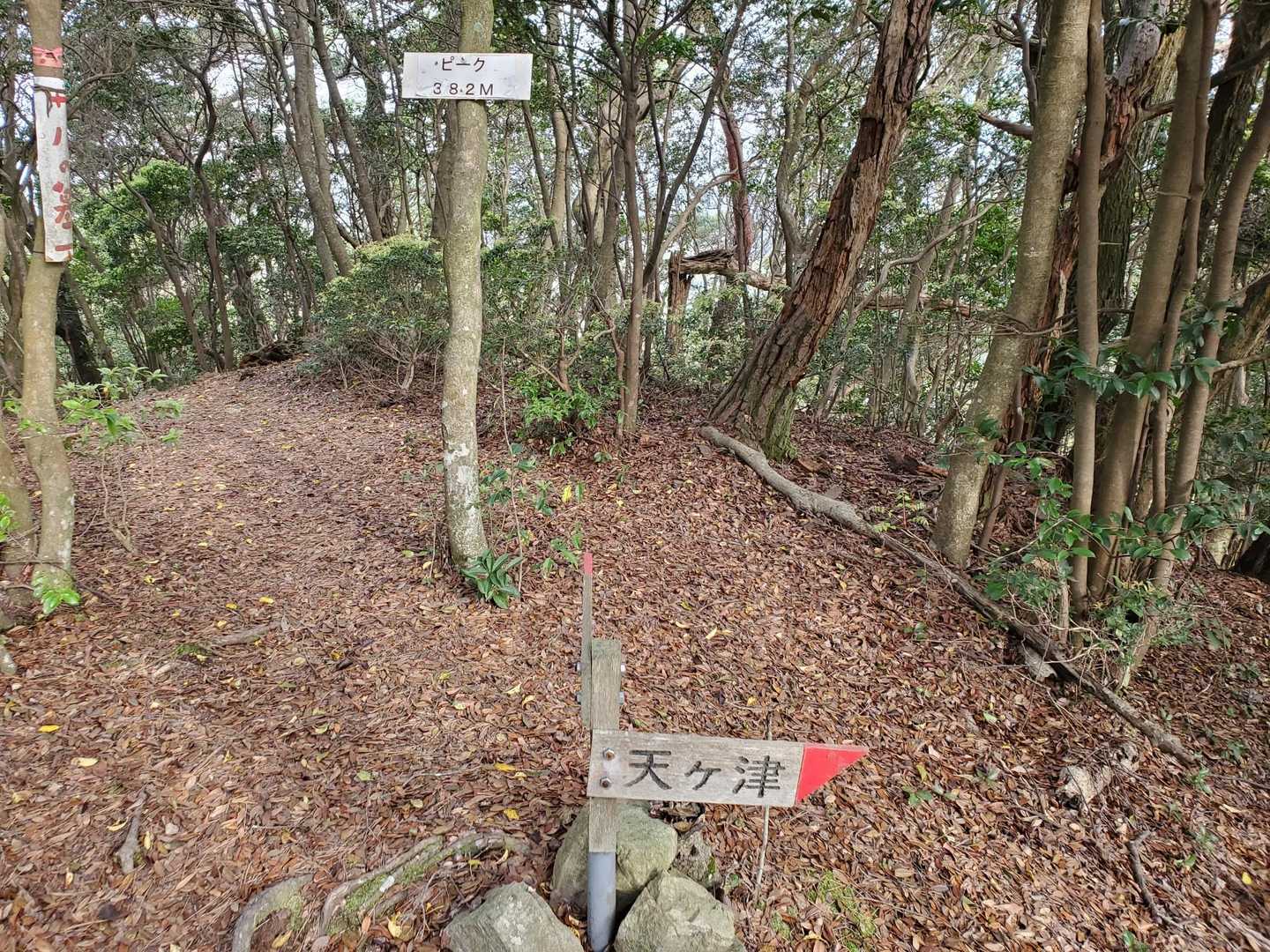 西尾根コース登山口-剣ヶ峰 往復コースの写真
