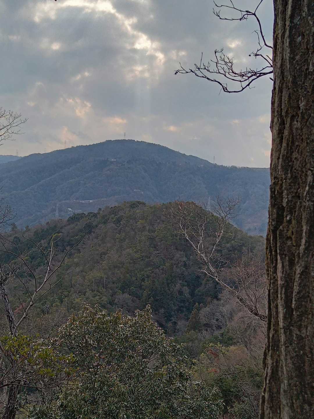 沓掛山 往復コースの写真