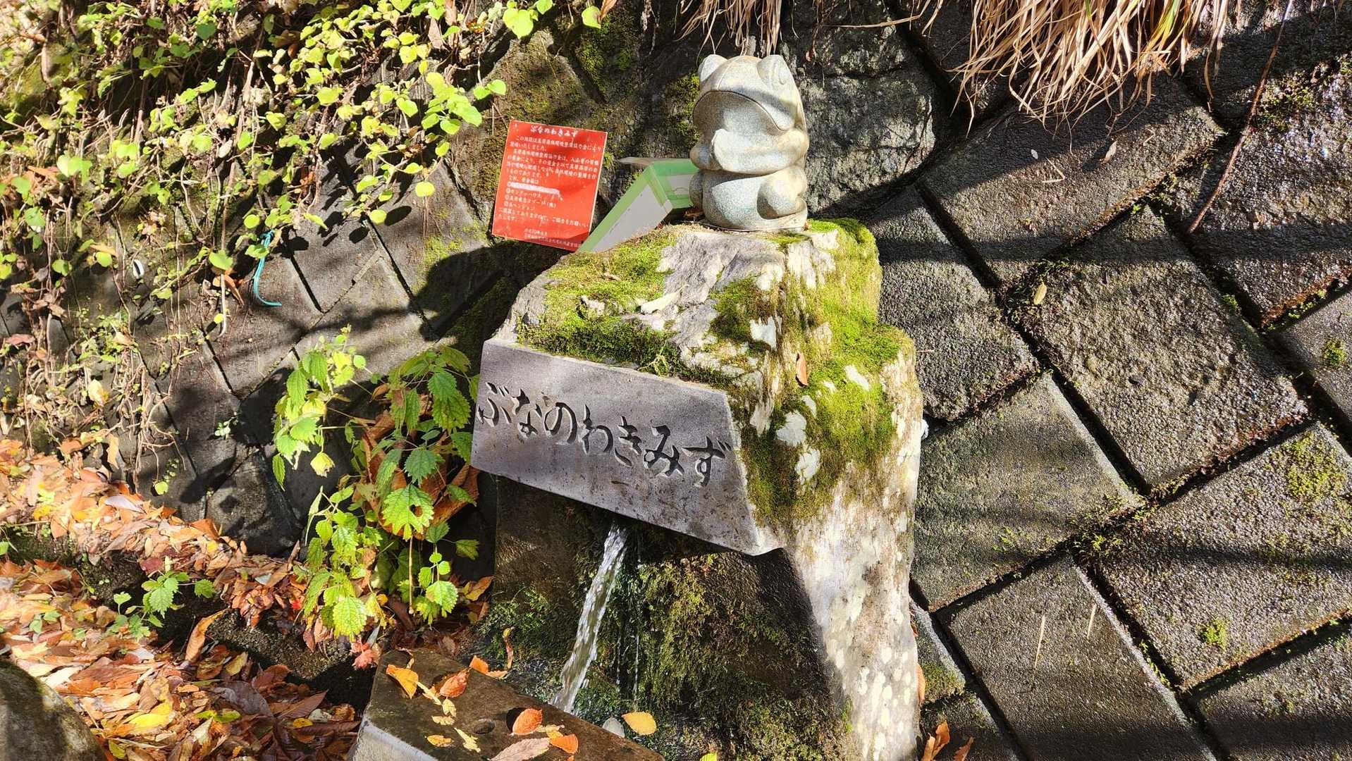 尼ヶ禿山 往復コースの写真