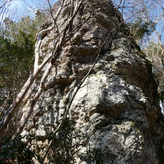周囲の木が葉を落としたので、桜岩もよく見えています
