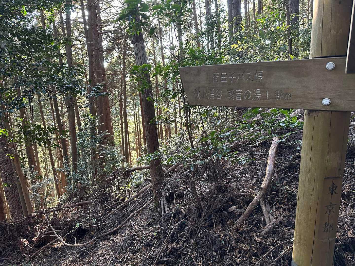 楽しみにしていた瀬音の湯の看板がでたよ！
あとは♨️を楽しみにラストスパート