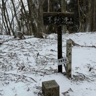 なんとか無事に不動冴に到着。眺望はない。