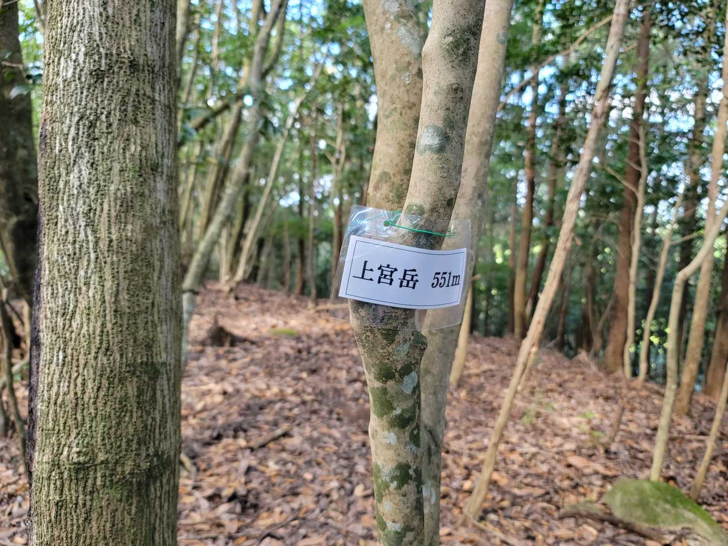 間違いない。