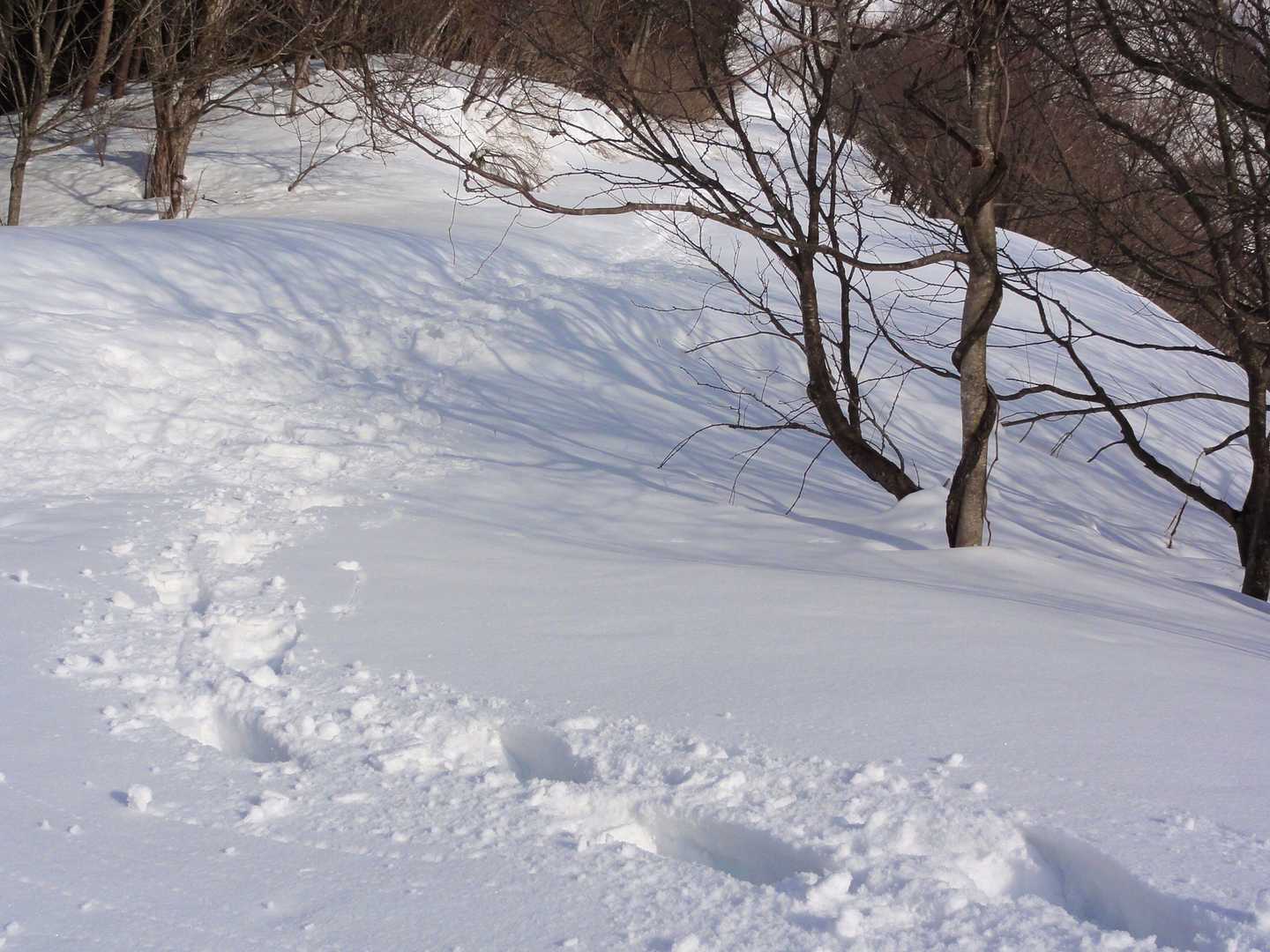 林道に合流しました。
なるほど早いです。