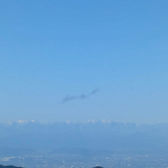 北か南ア…らしい…長々ありがとうございました📷️