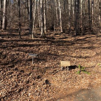 全コースの中で、この登山口に来るまでの舗装道路が1番キツいです😭
