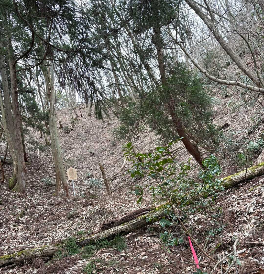夏は樹木に覆われ　
涸れる事の無い　重要な小さな池が二つ。
今もちゃんと　密かに湧き出ているが　
わざと　見えにくくなっているんだね🤫