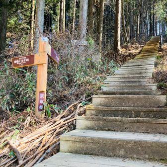 和田峠から陣馬山への直登の入口。下りだったからよかったけど…