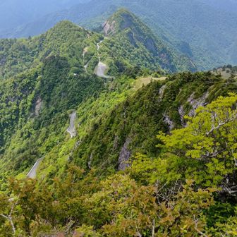 振り返って、子持権現山方面