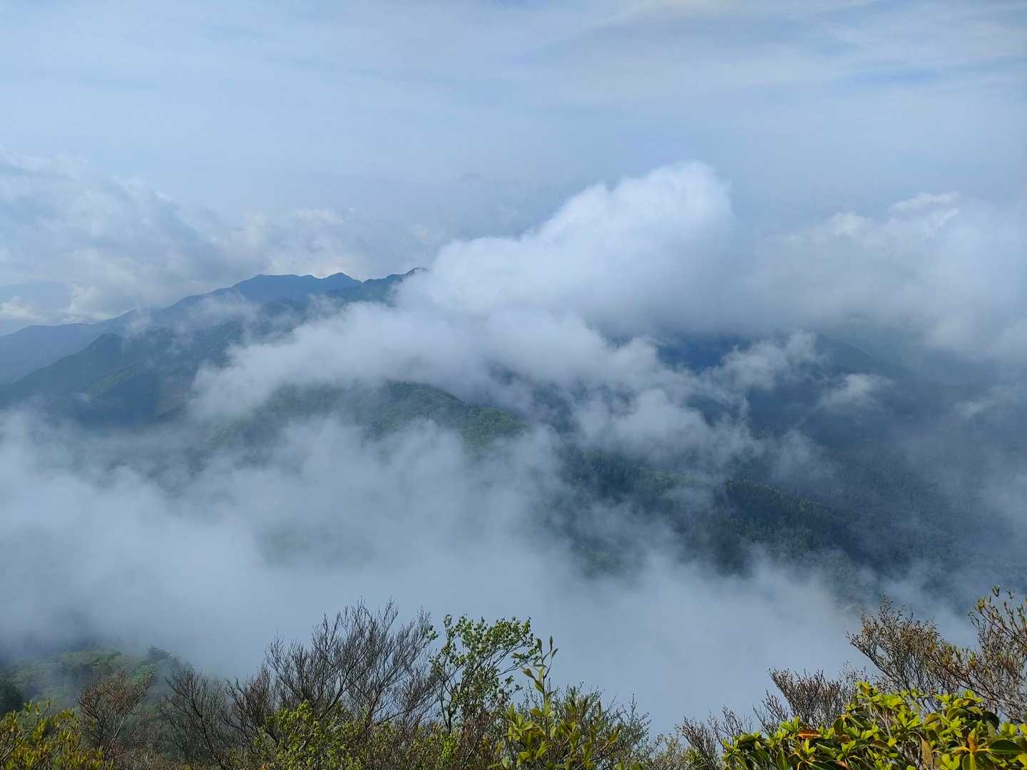 白髪トンネル南口登山口-大森山 往復コースの写真