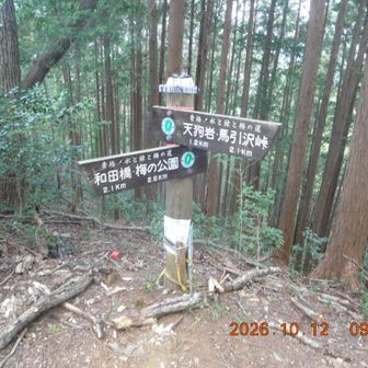 要害山