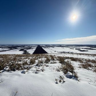 牧草地帯が見渡せる