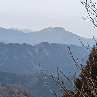 背比べをした日野山です。
