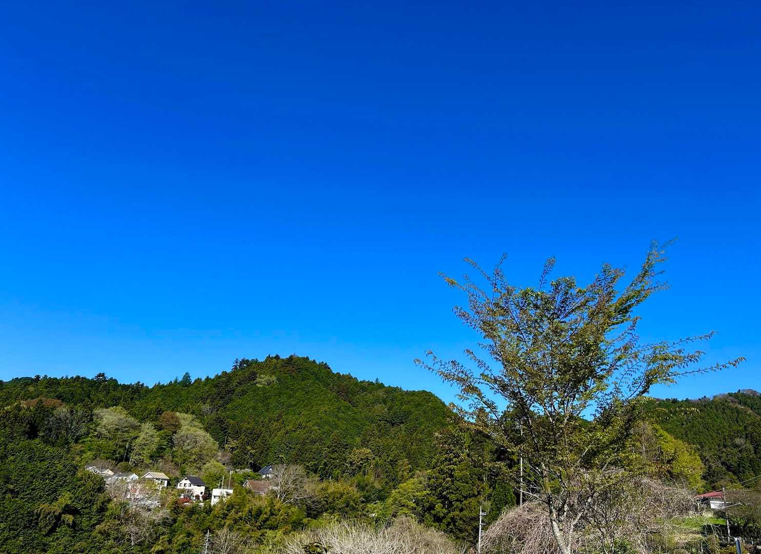 これから向かう方面の山👌
なかなかいい感じです♪