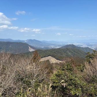 いやー、今日一の景色を拝んでます