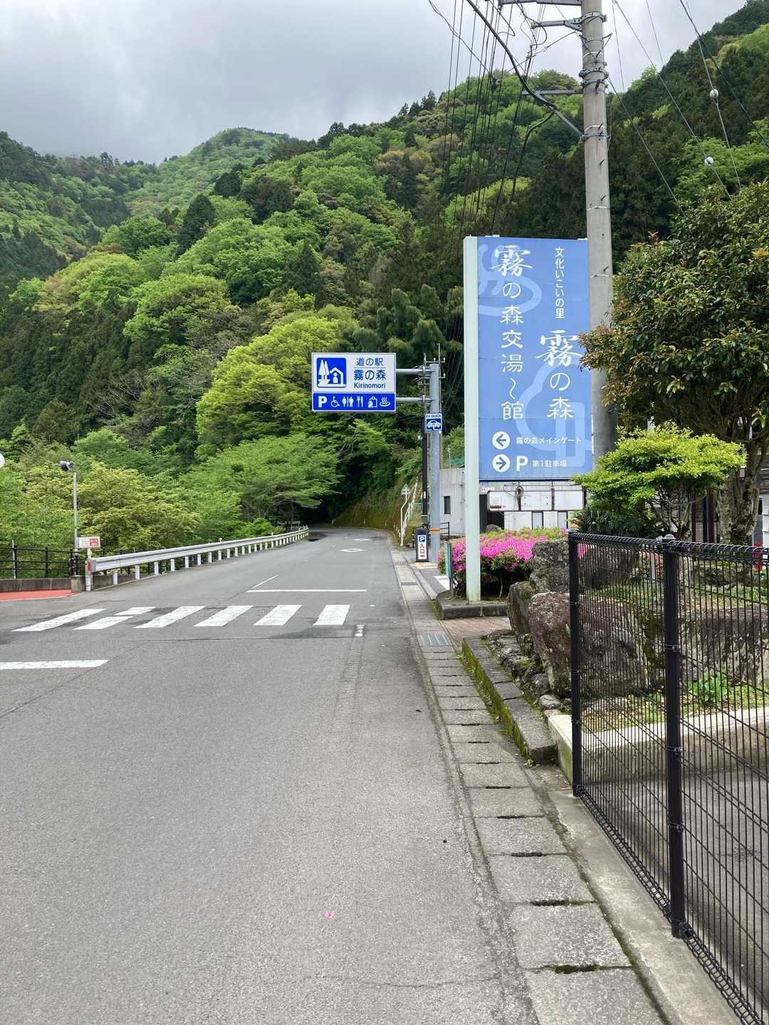 帰ってきました。駐車場は車でいっぱいでした。三連休の初日です。