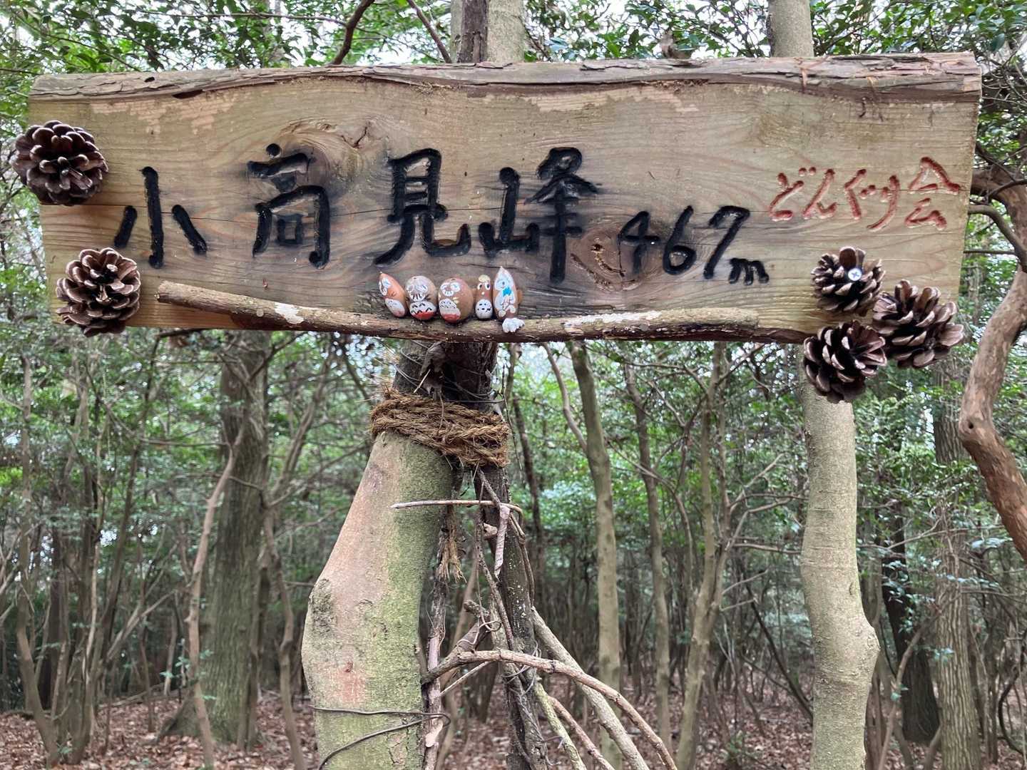 小高見峰頂上