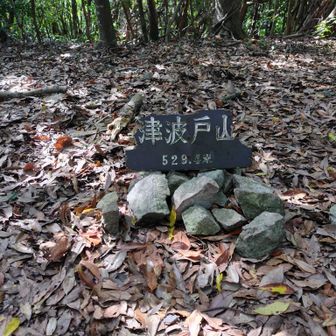 着いたー

津波戸山頂上