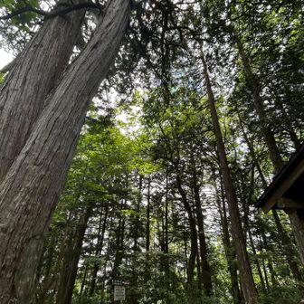 刹那の陽射し