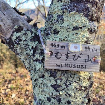 結び山。まもなくゴール。