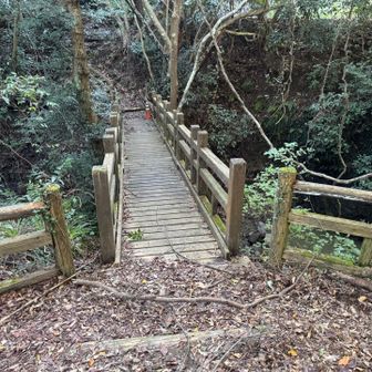 橋の上から滝を見れる
結構高い