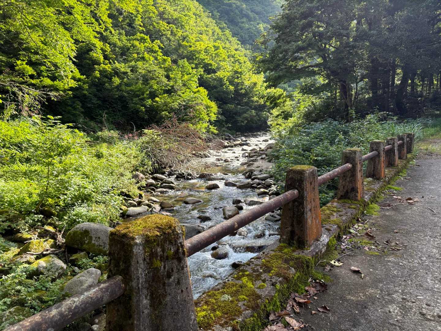キレイです✨
川に飛び込みてぇ〜笑